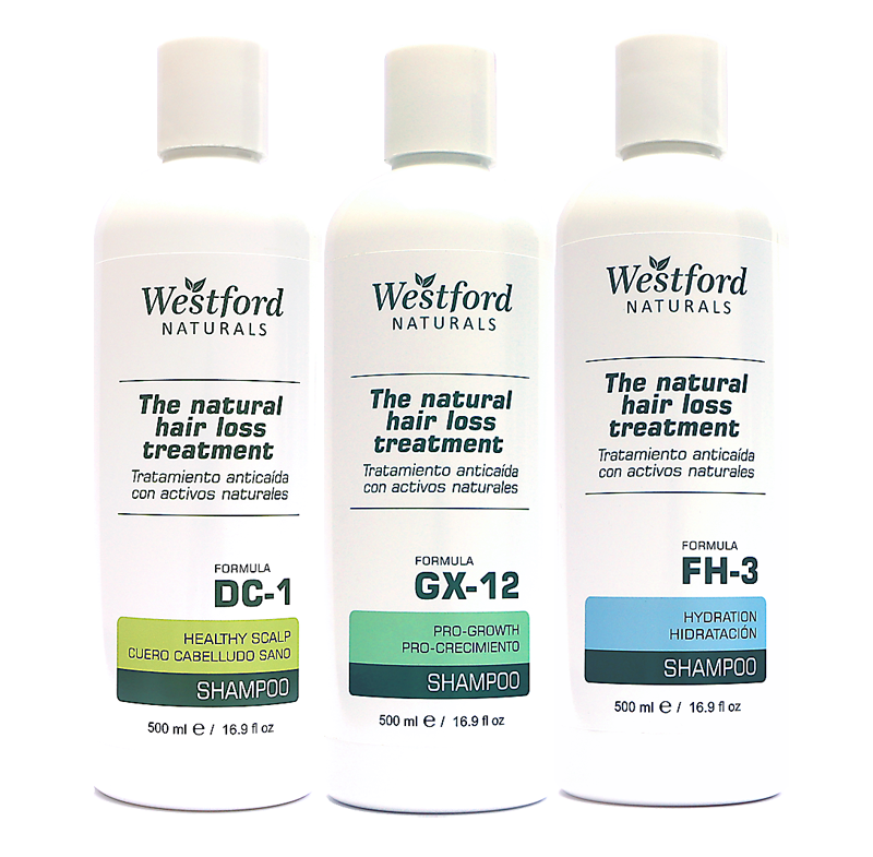 Sistema Westford Anticaída + Anticaspa — DC-1, GX-12, FH-3