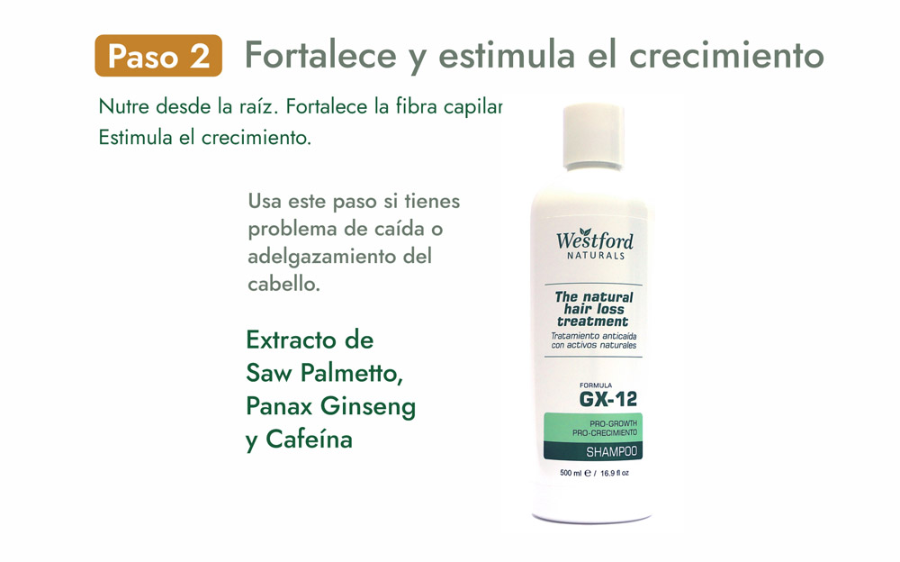 Paso 2 — Fortalece y estimula el crecimiento: GX-12 con Saw Palmetto, Panax Ginseng y Cafeína